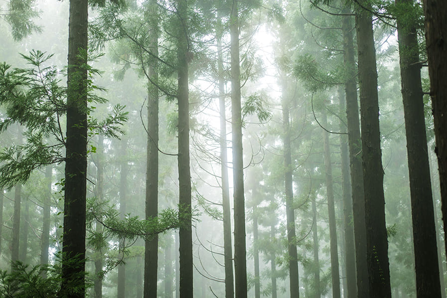 サステナブル経営を体現するオフィス